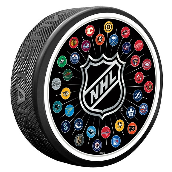 NHL Team Logos Puck