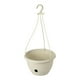 thumbnail image 1 of Maceta colgante con autorriego, adorno para plantas, doble capa Blanco, 1 of 9