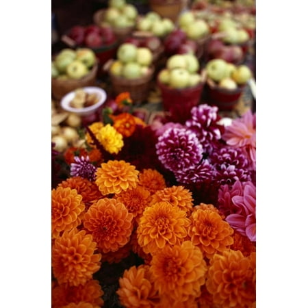 Blooming Flowers at a Farmers Market Print Wall Art By Stuart