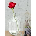 thumbnail image 2 of Serene Spaces Living Big Glass Bottle Vase, 9.25" Diameter & 15" Tall, 2 of 6