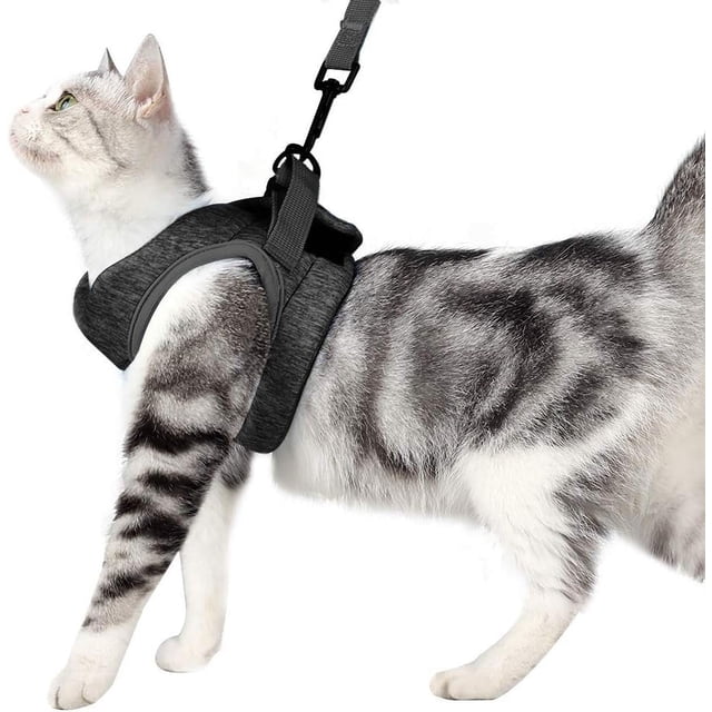Arnés y correa para gatos: chaqueta para caminar para gatos con cuello para gatitos a prueba de escapes ultraligera con amortiguación para correr adecuada para cachorros conejos M