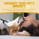 thumbnail image 5 of Pet Sex Banning Liquid for Cats and Dogs spray, 5 of 5