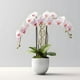 thumbnail image 1 of Enrejado de Plantas Decorativo Cola Soporte para Plantas de Interior Oro 40cm, 1 of 6