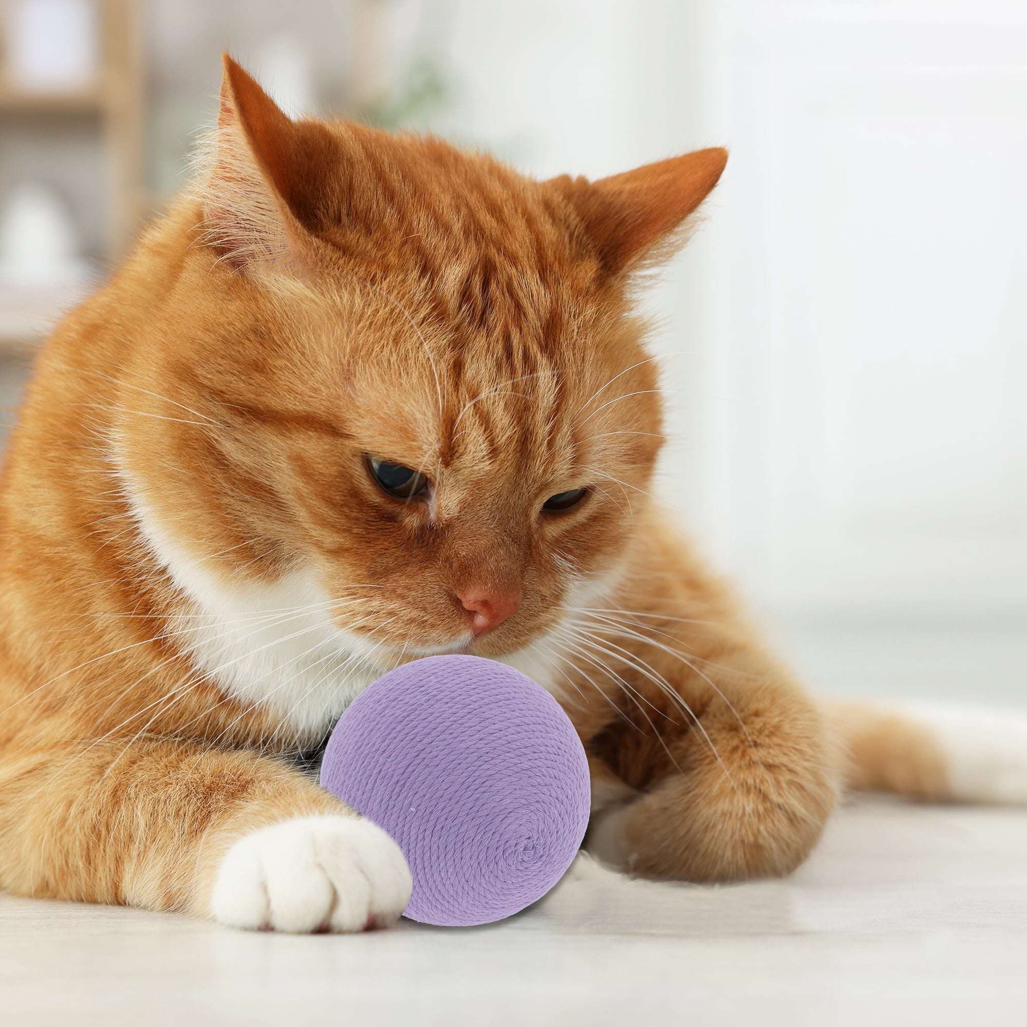 Unique Bargains Playing Ball with Bell for Cat Playtime Purple