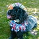thumbnail image 2 of KAKOWELY Sombrero arcoíris para perros y gatos, gorra para el sol, accesorios de disfraz para gatos, perros y mascotas pequeñas., 2 of 5