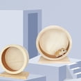 thumbnail image 3 of Hamster Wheel Toy Wooden Hedgehog Running Wheel Mute Design Small Pet Running Toy, 3 of 6