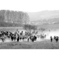 thumbnail image 2 of The Yellowstone Collection 18x13 Black Modern Framed Museum Art Print Titled - Bringing in the Horse Herd, 2 of 4