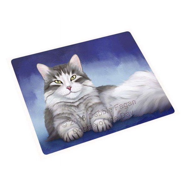 Persian Cat Blanket BLNKT48198