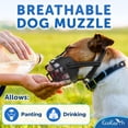 thumbnail image 2 of Dog Muzzle Breathable Basket Mouth Guard for Grooming & Training, Black, Size M, 1 Pack, 2 of 9