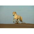 thumbnail image 2 of Zuckerman, Jim 14x11 White Modern Wood Framed Museum Art Print Titled - France, Provence Camargue horse running in sand, 2 of 4