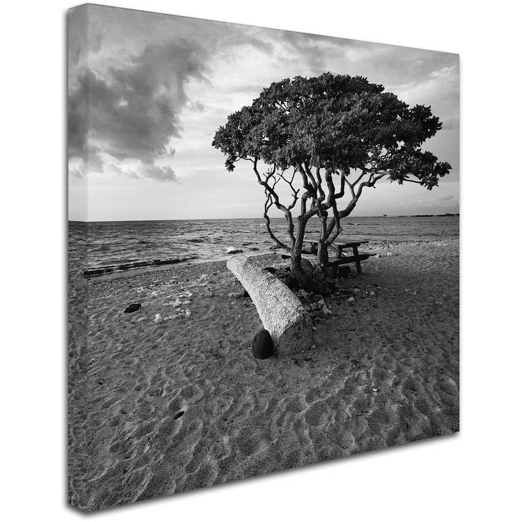 Trademark Fine Art "Hawaiian Tree" Canvas Art by Rob Cherry