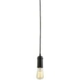 thumbnail image 1 of 65114 1 Light Plug In Mini Pendant Light Fixture, 1 of 1