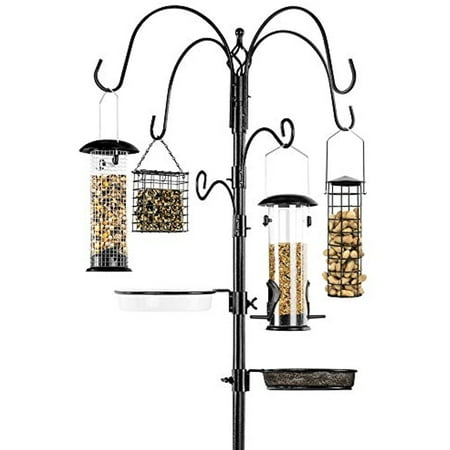 feeders prong attracting