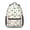 Dinosaur and Hill, variant on Dinosaur and Leaf Beige Pattern Backpack for School, Cute School Bag with Adjustable Shoulder Straps and Padded Back, 15.3"x11"x6.7"