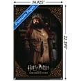 thumbnail image 3 of Harry Potter and the Sorcerer's Stone - Hagrid Cooking Wall Poster with Pushpins, 14.725" x 22.375", 3 of 6