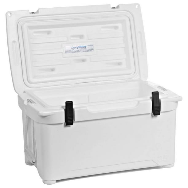 Coolers on sale 2025 at walmart