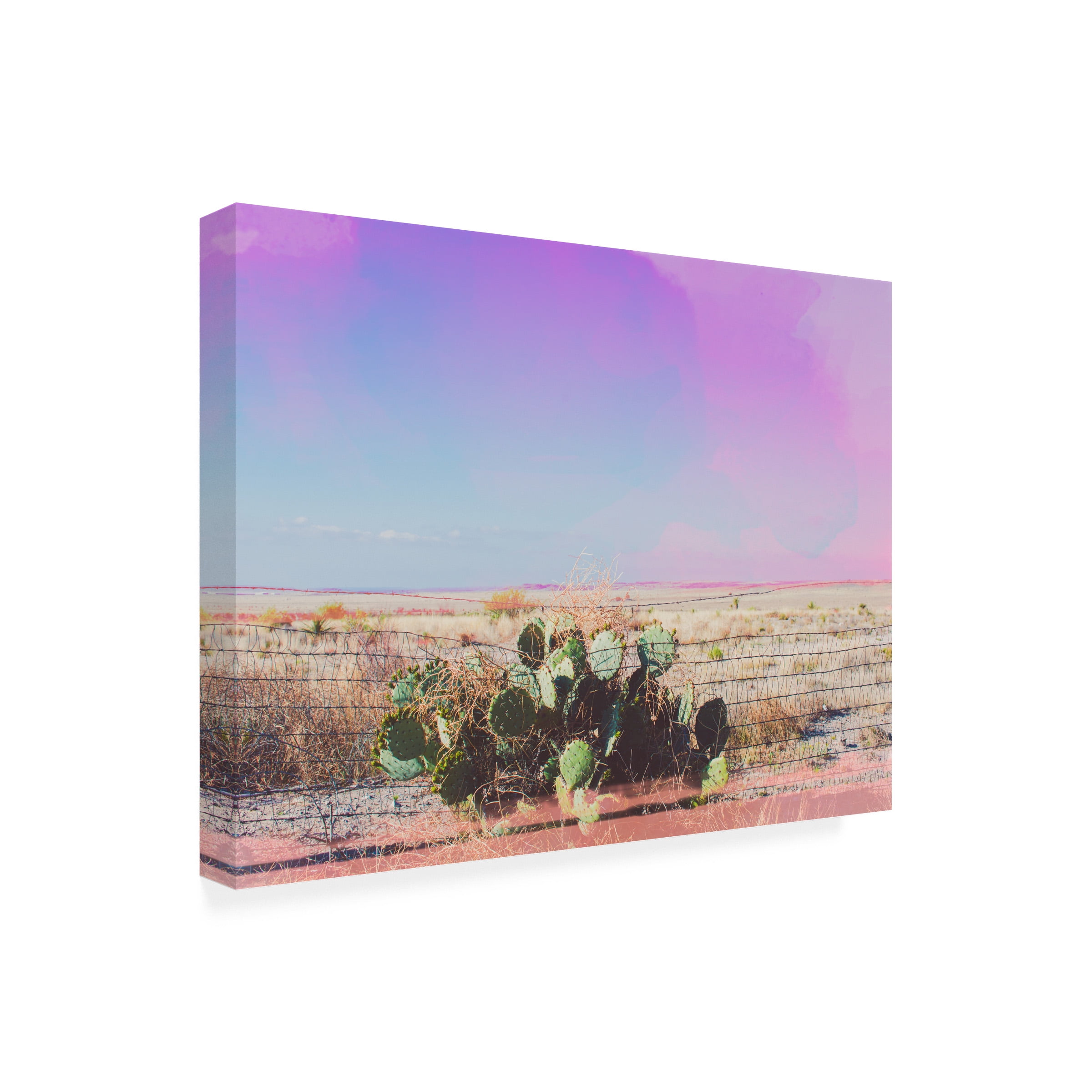 Sonja Quintero 'West Texas Scapes I' Outdoor All-Weather Wall Decor