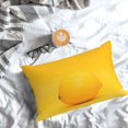 thumbnail image 5 of Rateoe Yellow Lemon Pattern Decorative Pillow Case,Throw Pillow Covers,Plush Pillow Cover,Soft Pillow Case,Velvet Pillow Case-16"x24", 5 of 6