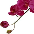 thumbnail image 2 of Orchid/Succulent Floral Arrangement in Planter, 2 of 3