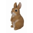 thumbnail image 1 of Hi-Line Gift Ltd. Estatua pequeña de conejo de pie, poliresina, 1 of 2