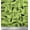 Light Green, variant on Soimoi Green Cotton Duck Fabric Gardening Tools & Hardware Printed Craft Fabric by the Yard 42 Inch Wide