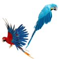 thumbnail image 1 of Loros Artificiales Realistas 2x Soledad, 1 of 8