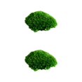 thumbnail image 1 of Inteprter Almohada musgo ecológico moño musgo para una encantadora decoración verde natural musgo decorativo verde natural Type1 NO1, 1 of 6