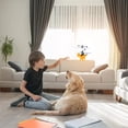 thumbnail image 2 of Gesture Sensing Dinosaur Aircraft USB Rechargeable Child Friendly Fun Gift, 2 of 4