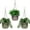 Gray, variant on 3 Pack Self Watering Hanging Baskets,Bexikou Hanging Flower Pots with Drainage Holes & Chain Hooks,Plastic Plant Containers Hanger Holders for Home Garden Flowers & Plants