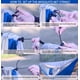 thumbnail image 5 of Hamaca de camping Qevooon de nailon con mosquitera y correas de 3 m, 5 of 7