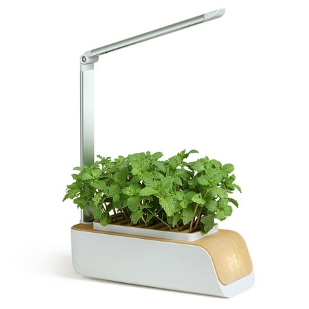 

Hydroponics Growing System Indoor Herb Garden Kit with Grow Smart Garden for Home and Kitchen Indoor Plant Growing System Herb Grower Vegetable Gardening System