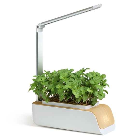 Yeacher Hydroponics Growing System, Indoor Herb Garden Kit with Grow Light, Smart Garden for Home and Kitchen, Indoor Plant Growing System, Herb Grower Vegetable Gardening System