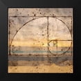 thumbnail image 2 of Wiley, Marta 12x12 Black Modern Framed Museum Art Print Titled - Fibonacci Shell, 2 of 5