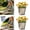 silver-m, variant on 2pcs Vintage Metal Flower Planter Buckets, Rustics Galvanized Plant Pots with Handles, Metal Rustics Plants Pots for Herbs & Succulents, Farmhouse Tin Containers for Garden, Bathroom & Yard