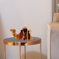 thumbnail image 6 of MRLESS Simulation Camel Model Ornament Cute Animal Ornament Desktop Collection Home Decor for Camel Festival Decoration and Party Prop, 6 of 8