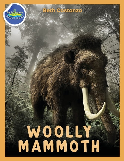Woolly Mammoth Activity Workbook ages 48 (Paperback)