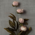 thumbnail image 5 of Ashland Tan Peony Stem, 5 of 5