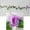 Purple, variant on SPRING PARK 230cm Flower Garland Fake Rose Vine Artificial Flower Hanging Rose Ivy Home Hotel Office Wedding Party Garden Craft Art Décor