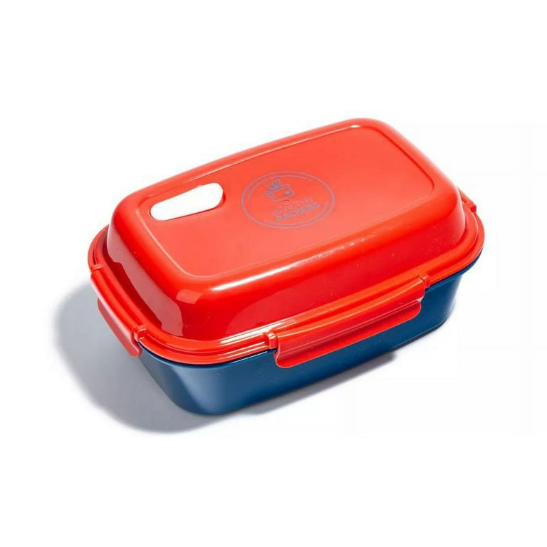 Insulated Lunch Bag or Multi-Compartment Bento Box with Built-In Ice-Pack 
