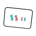 thumbnail image 4 of Yinanstore Chromosome Changes Model Learning Tools Biological Educational Learning Demonstration Kit Teaching Instruments for Classroom Red Blue, 4 of 8