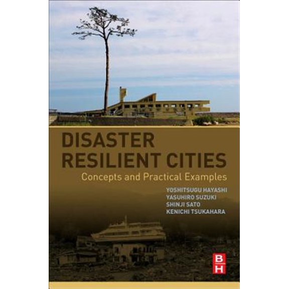 Pre-Owned Disaster Resilient Cities: Concepts and Practical Examples, (Paperback)