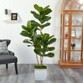 thumbnail image 3 of Nearly Natural 5.5' Fiddle Leaf Artificial Tree in White Metal Planter, 3 of 4