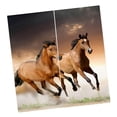 thumbnail image 1 of Cortinas de ventana Soledad de 2 Paneles con Estampado de Animales Y Decoración 3D Caballo corriendo, 1 of 9