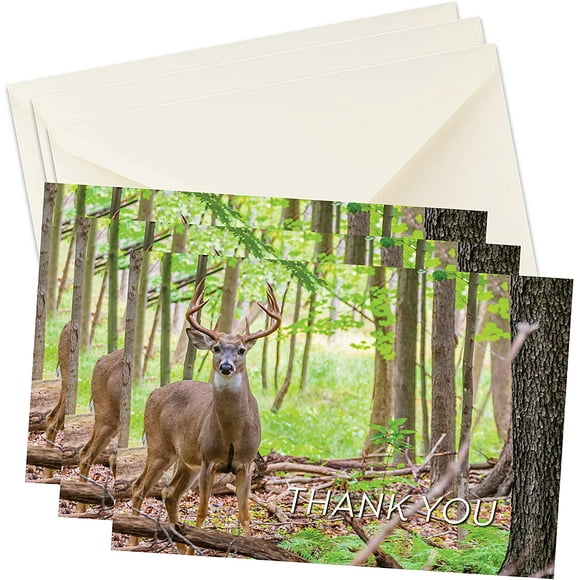 Funeral Sympathy Bereavement Thank You Cards With Envelopes - Message Inside (Deer Forest, 25)