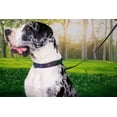 thumbnail image 3 of Country Brook Petz® Colorful Arrows Gunmetal Martingale Dog Collar and Leash, Medium, 3 of 7