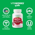 thumbnail image 6 of VitaWorks Kids, Melatonin, Berry, 120 Chewables, 6 of 7