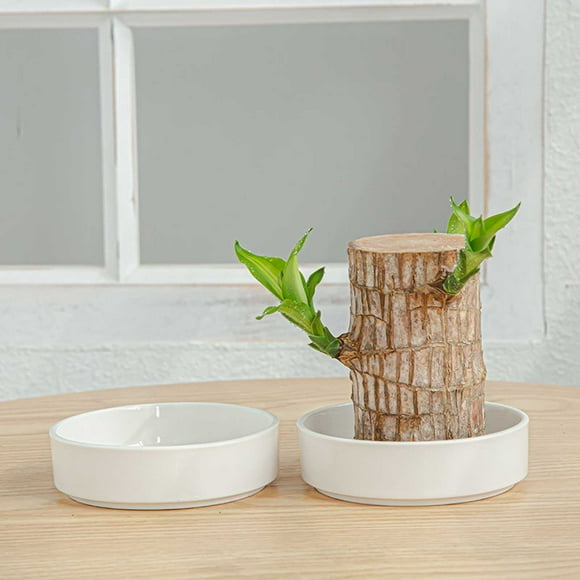 Plateau en bois brésilien avec assiettes en céramique blanche,pot de décoration de bureau,Plateau de pot de fleurs élégant pour une utilisation décorative à la maison,PENDANE,white