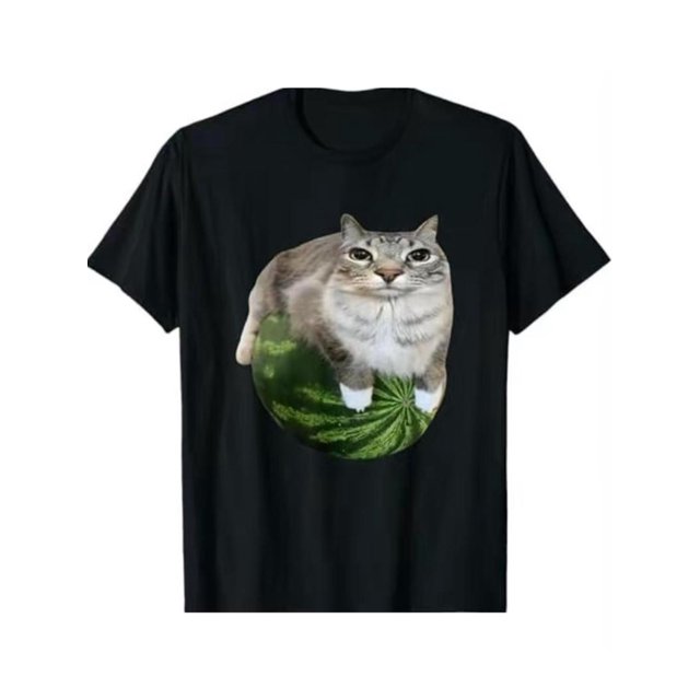 Camiseta con meme de gato sandía y gato tonto --- camiseta divertida, ropa urbana informal de verano, camiseta de gato
