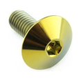 thumbnail image 6 of Titanium Dome Head Bolt M6x(1.00mm)x16mm, 6 of 6