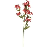 Teters Floral Jasmine Spray Cherry Fudge